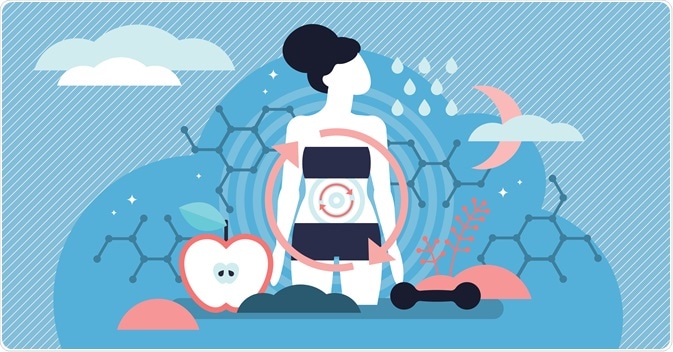 What Does Metabolism Mean?